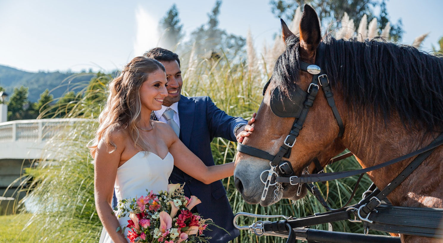 Testimonio Matrimonio 2